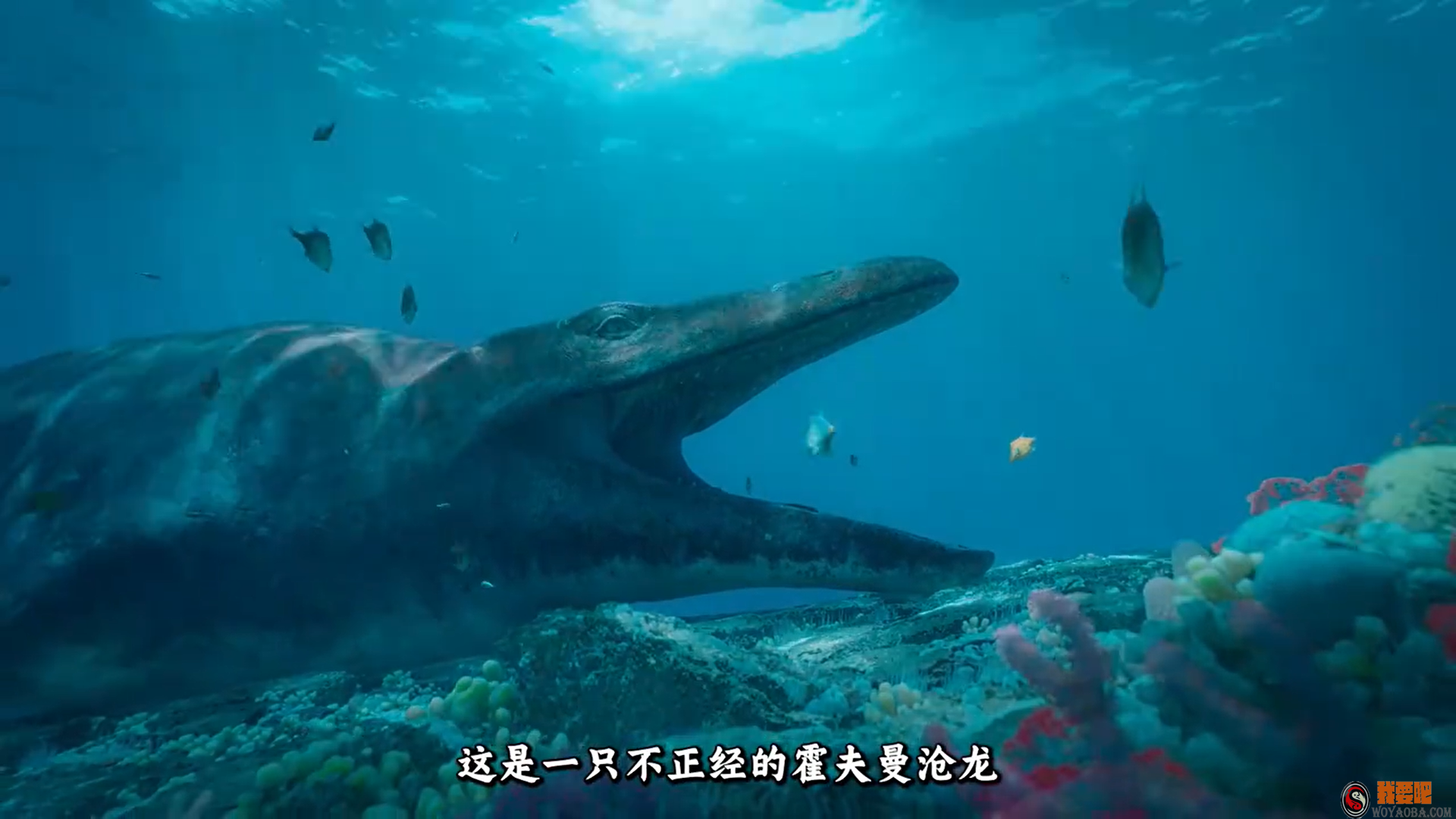 图片[2]|[资源] 史前星球 Prehistoric Planet S01E04 4K.HDR.H265|我要吧 - WOYAOBA.COM