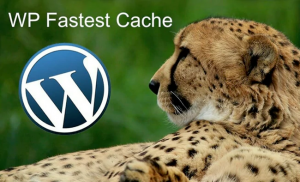 wordpress下高效缓存插件:WP Fastest Cache Premium v1.6.4最新中文破解版|我要吧 - WOYAOBA.COM