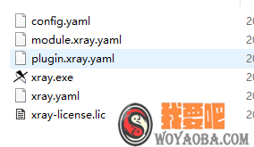 图片[2]|Xray_Pro_1.9.1_windows_x64|我要吧 - WOYAOBA.COM